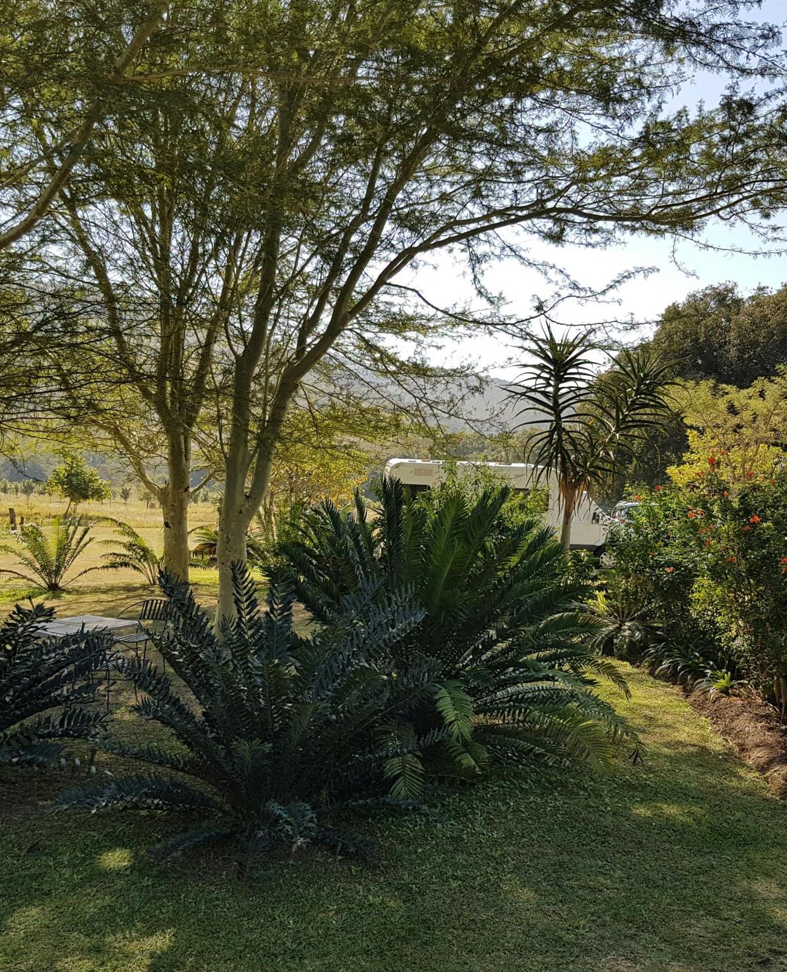 Kiaat Bungalows Hazyview Exteriér fotografie